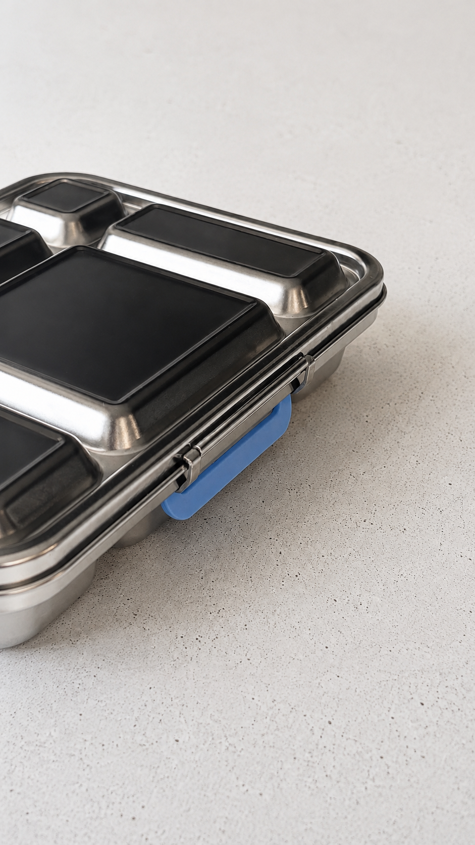 Pre-Order: Stainless Steel 5-Compartment Bento Box